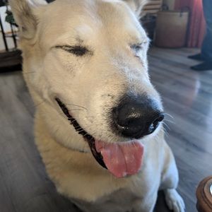 Meet your Posher, Coryn